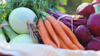 Cuisiner les légumes ? replay du webinaire